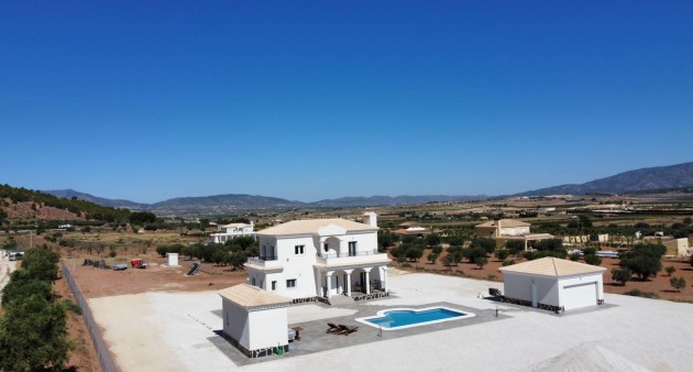 New Build - Villa - Pinoso - Camino Del Prado