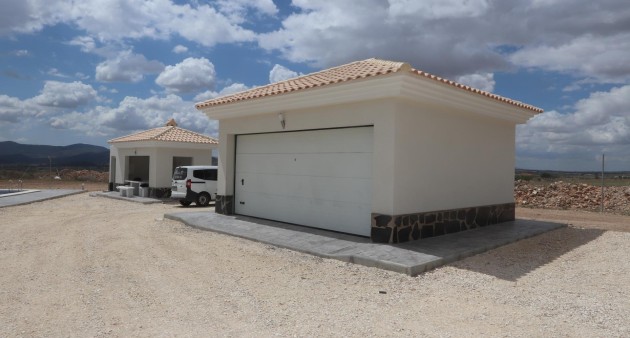 Nueva construcción  - Chalet - Pinoso - Camino Del Prado