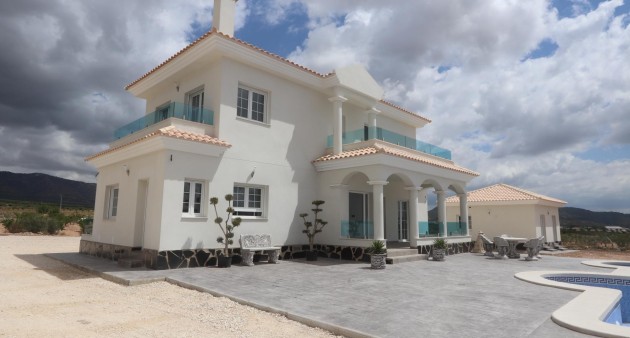 New Build - Villa - Pinoso - Camino Del Prado