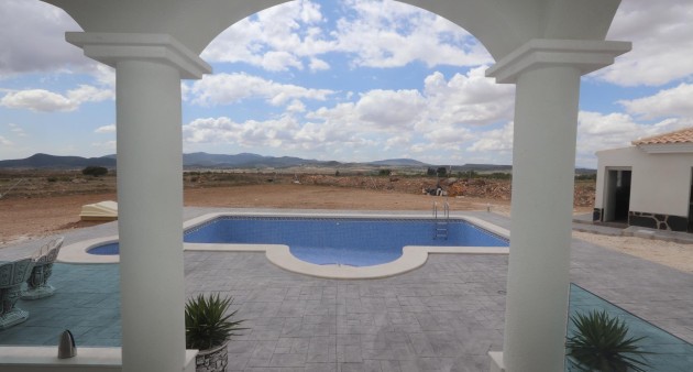 New Build - Villa - Pinoso - Camino Del Prado