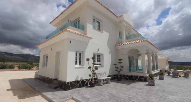 New Build - Villa - Pinoso - Camino Del Prado