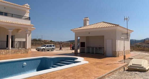 Nueva construcción  - Chalet - Pinoso - Camino Del Prado