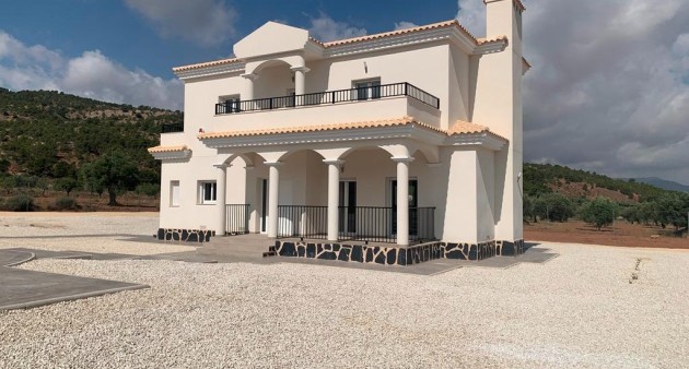 New Build - Villa - Pinoso - Camino Del Prado