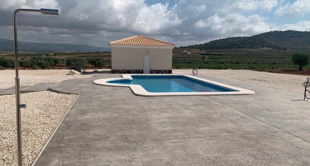 New Build - Villa - Pinoso - Camino Del Prado