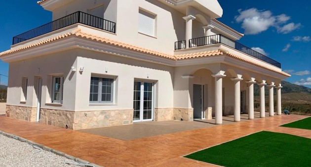 New Build - Villa - Pinoso - Camino Del Prado