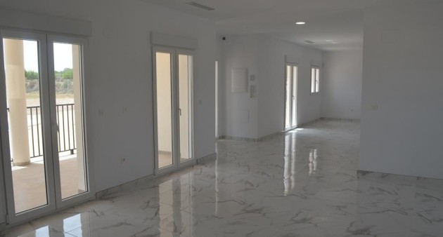 Nueva construcción  - Chalet - Pinoso - Camino Del Prado