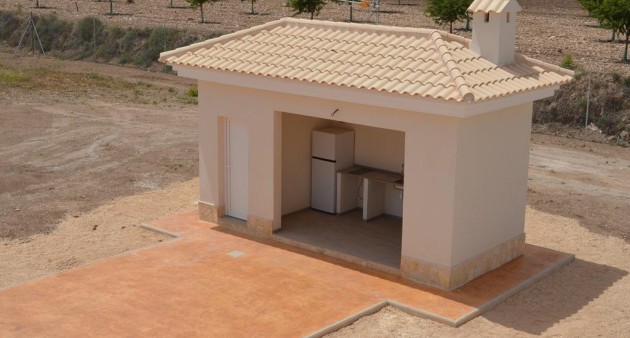 New Build - Villa - Pinoso - Camino Del Prado