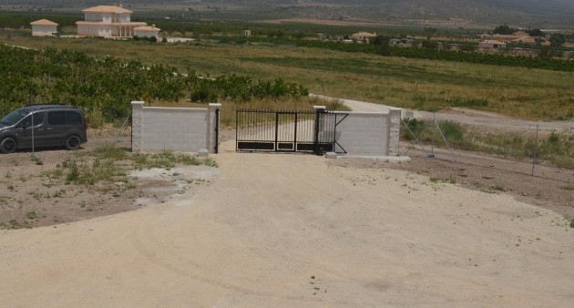 Nueva construcción  - Chalet - Pinoso - Camino Del Prado