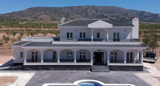 New Build - Villa - Pinoso - Camino Del Prado