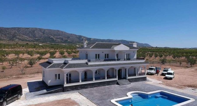 New Build - Villa - Pinoso - Camino Del Prado