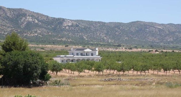 Nueva construcción  - Chalet - Pinoso - Camino Del Prado