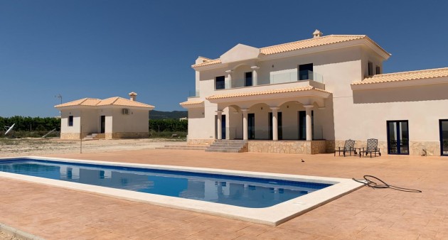 New Build - Villa - Pinoso - Camino Del Prado