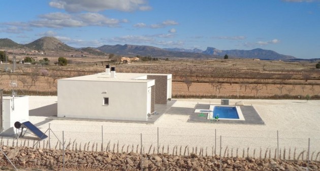 New Build - Villa - Pinoso - Camino Del Prado