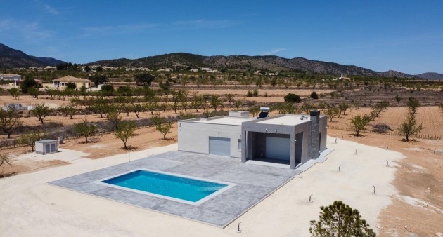 New Build - Villa - Pinoso - Camino Del Prado