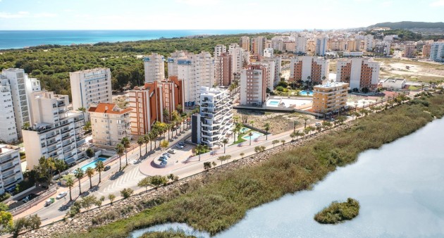 Nouvelle construction - Penthouse - Guardamar del Segura - PUERTO