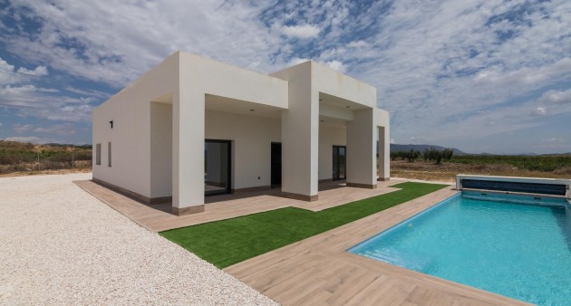 New Build - Villa - Pinoso - Campo