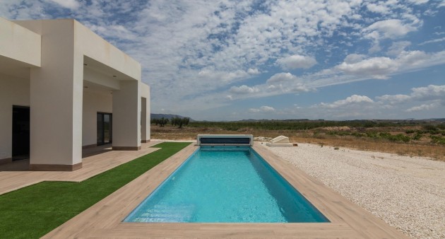 New Build - Villa - Pinoso - Campo