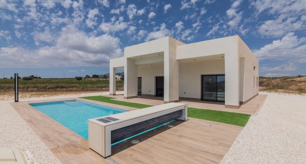 New Build - Villa - Pinoso - Campo