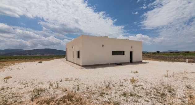 New Build - Villa - Pinoso - Campo