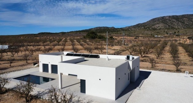 New Build - Villa - Pinoso - Campo