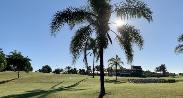 Nueva construcción  - Bungalow - San Javier - Roda Golf