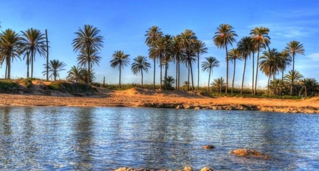 Nybygg - Leilighet - Torrevieja - Playa de El Cura