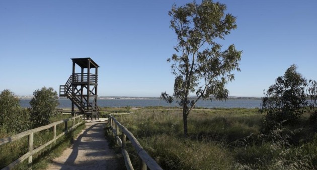 Nybygg - Bungalow - Torrevieja - Altos del Sol