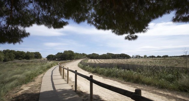 Nueva construcción  - Bungalow - Torrevieja - Altos del Sol