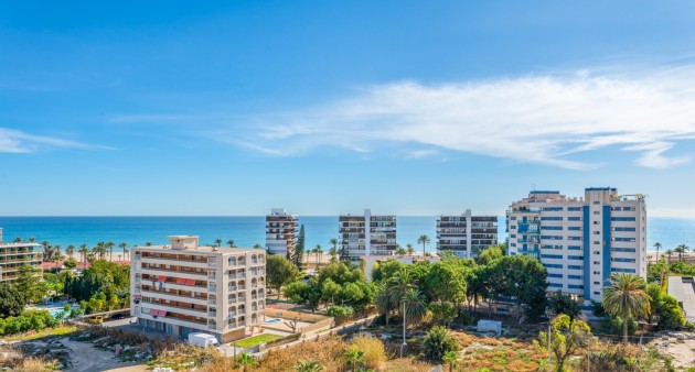 Venta - Piso - Alicante - Playa San Juan