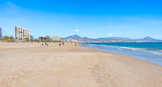 Venta - Piso - Alicante - Playa San Juan