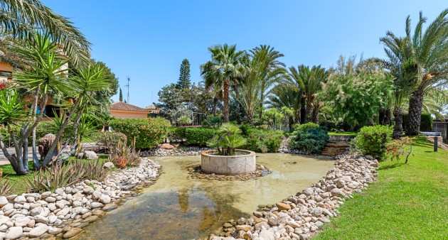 Sale - Villa - Elche/Elx