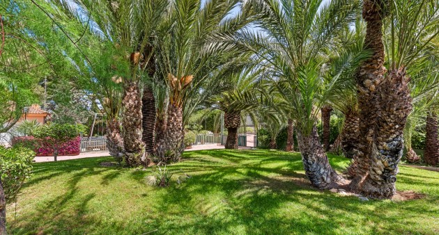 Sale - Villa - Elche/Elx