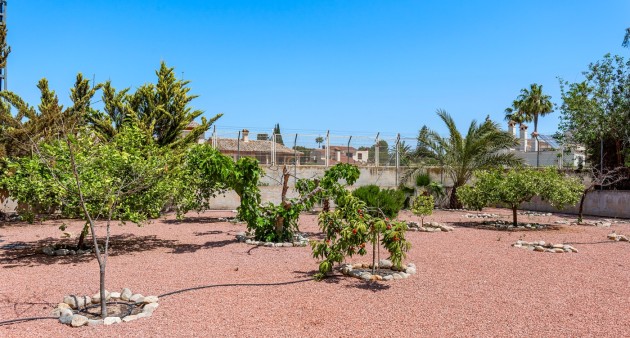 Sale - Villa - Elche/Elx