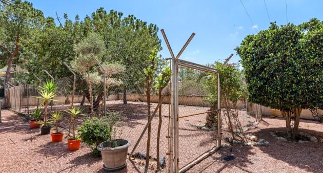 Sale - Villa - Elche/Elx