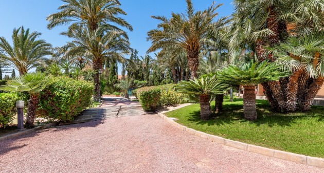 Sale - Villa - Elche/Elx