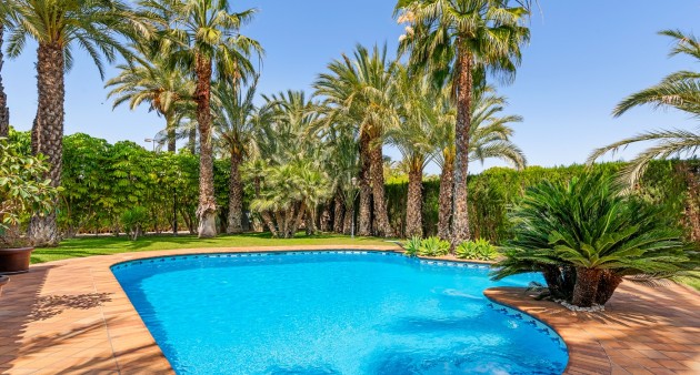 Sale - Villa - Elche/Elx