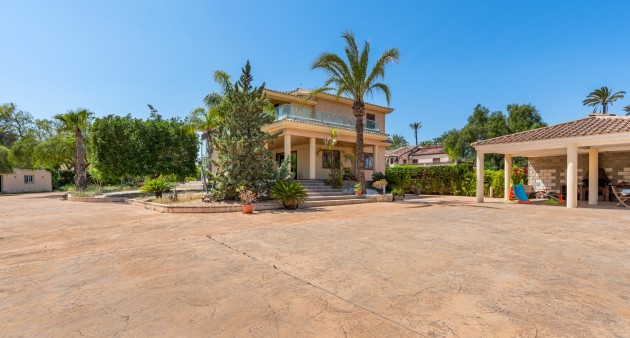 Sprzedaż - Willa - Elche/Elx