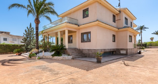 Sprzedaż - Willa - Elche/Elx