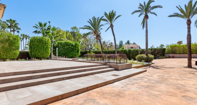 Sprzedaż - Willa - Elche/Elx