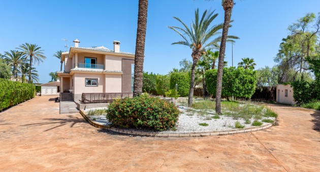 Sprzedaż - Willa - Elche/Elx