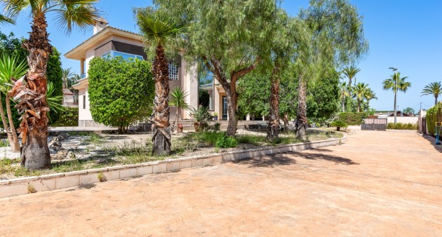 Sprzedaż - Willa - Elche/Elx