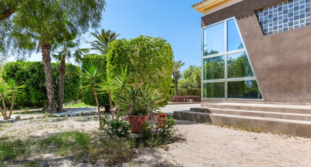 Sprzedaż - Willa - Elche/Elx