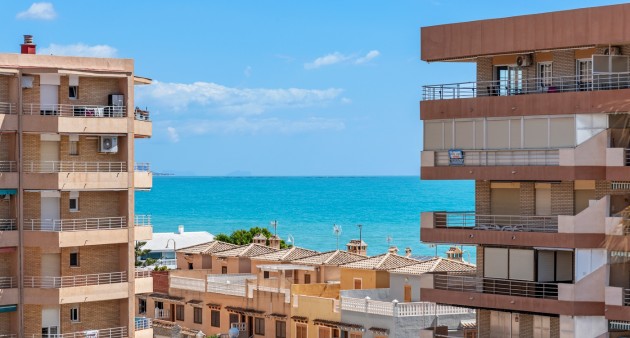 Sale - Apartment - Guardamar del Segura