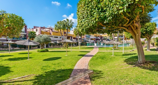 Venta - Piso - Orihuela costa - Orihuela Costa