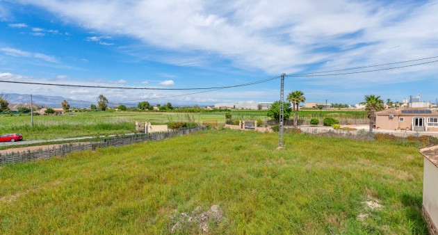 Sale - Country estate - Callosa De Segura