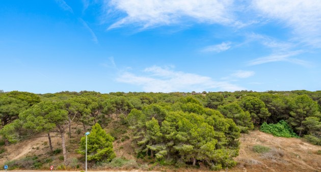 Sale - Apartment - Guardamar del Segura