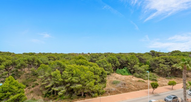 Sale - Apartment - Guardamar del Segura