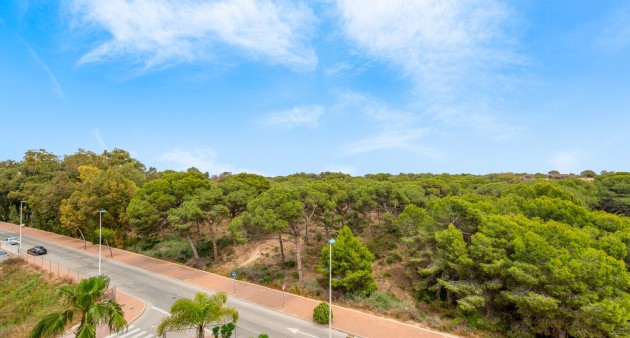 Sale - Apartment - Guardamar del Segura