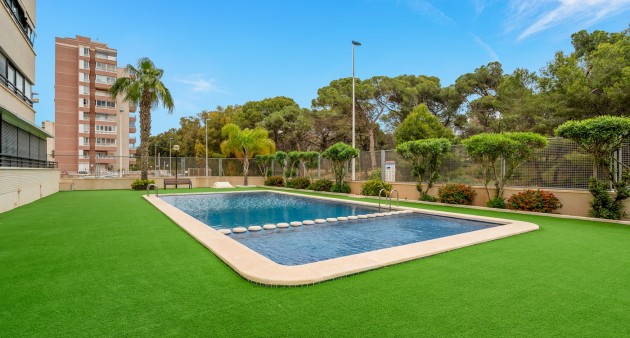 Sale - Apartment - Guardamar del Segura