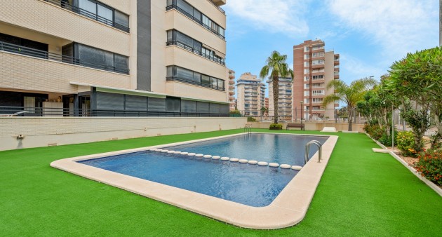 Sale - Apartment - Guardamar del Segura